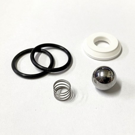 Kit reparación válvula de entrada Control PRO de Wagner