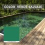 Novapin Pintura Piscinas al Clorocaucho