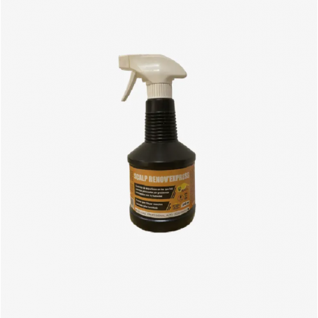 Limpiador de superficies Renov Express Scalp