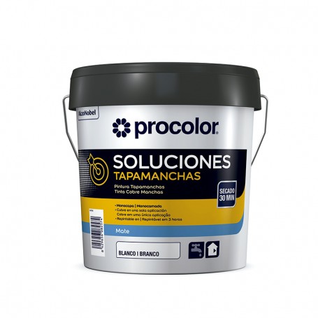 Pintura tapamanchas