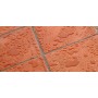 Mitrol Wet Protector Antimanchas - Efecto mojado - Barro exterior