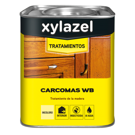 Xylazel Tratamiento Carcomas y Termitas - Base Agua